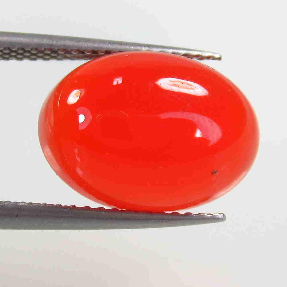 7.08 Ctw Natural Orange Carnelian Oval Cab: No Reserve! Title: 7.08 Ctw Natural Orange Carnelian Oval Cab Stone Clarity: Semi-Transparent Gemstone: Carnelian Carat Weight: 7.08 Size/Dimensions: 14.30 x 10.30 x 6.60 mm Additional Information: Ex