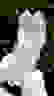 item-88808018=2