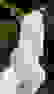 item-88808018=3