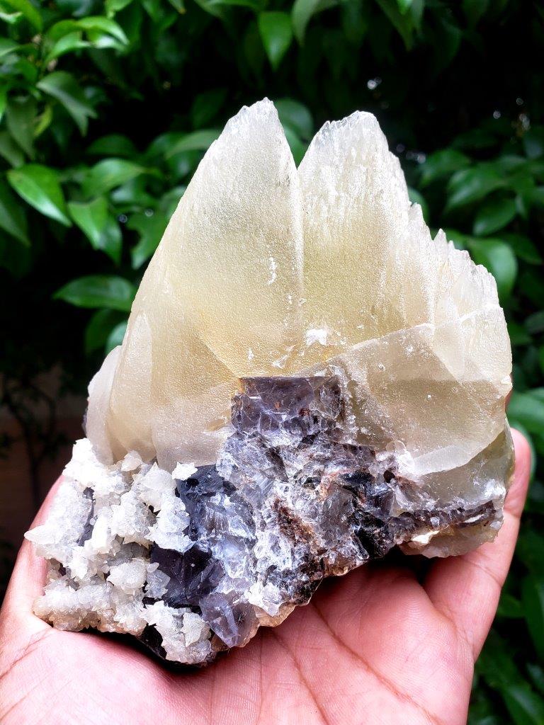 Twin Dog Tooth Clacite Combined with Fluorite Mineral -: Title: Twin Dog Tooth Clacite Combined with Fluorite Mineral - 877.7 Gram - 120X115X75 mm Origin: Afghaistan Reserve: $50.00 Shipping: Domestic: Flat-rate of $55.00 to anywhere within the contiguous U