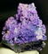 Museum Level Grape Agate , BOTRYOIDAL CHALCEDONY , - 3