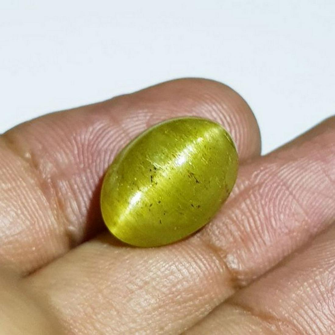 11.82 ct Natural Apatite cat's Eye: No Reserve! Title: 11.82 ct Natural Apatite cat's Eye Color/Clarity: Semi Transparent Gemstones: Loosegemstone Carat Weights: 11.82 Size/Dimensions: 15.50 x 11.20 x 8.50 Additional Information: Oval -