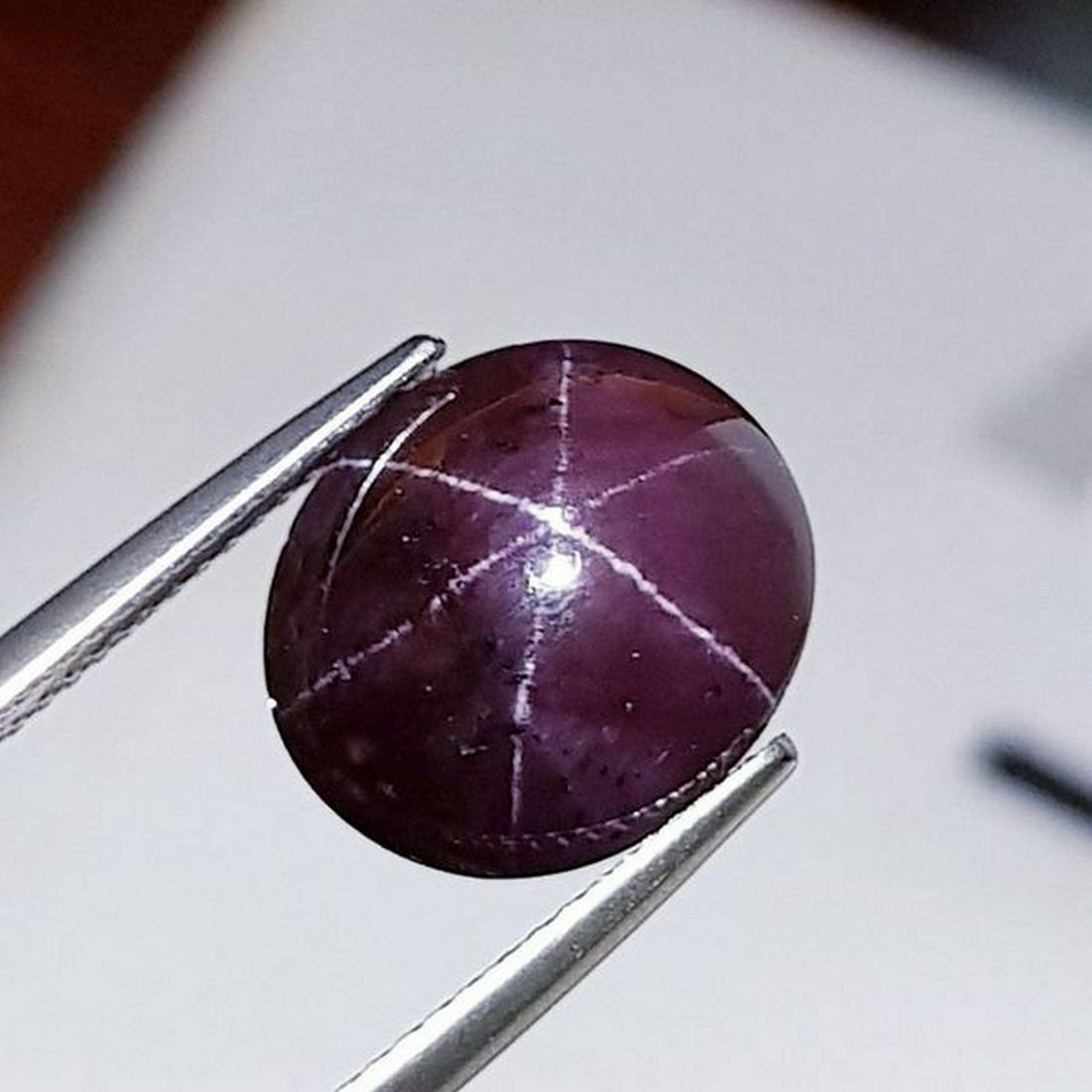 Natural Six Ray Star Garnet 13.30 ct (1 of 6)