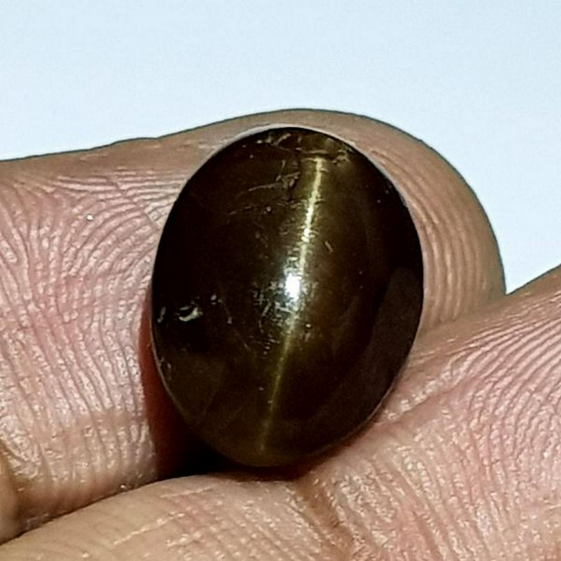 8.34 ct Natural Apatite cat's Eye: No Reserve! Title: 8.34 ct Natural Apatite cat's Eye Color/Clarity: Semi Transparent Gemstones: Loosegemstone Carat Weights: 8.34 Size/Dimensions: 14.00 x 10.00 x 6.60 Additional Information: Oval - A