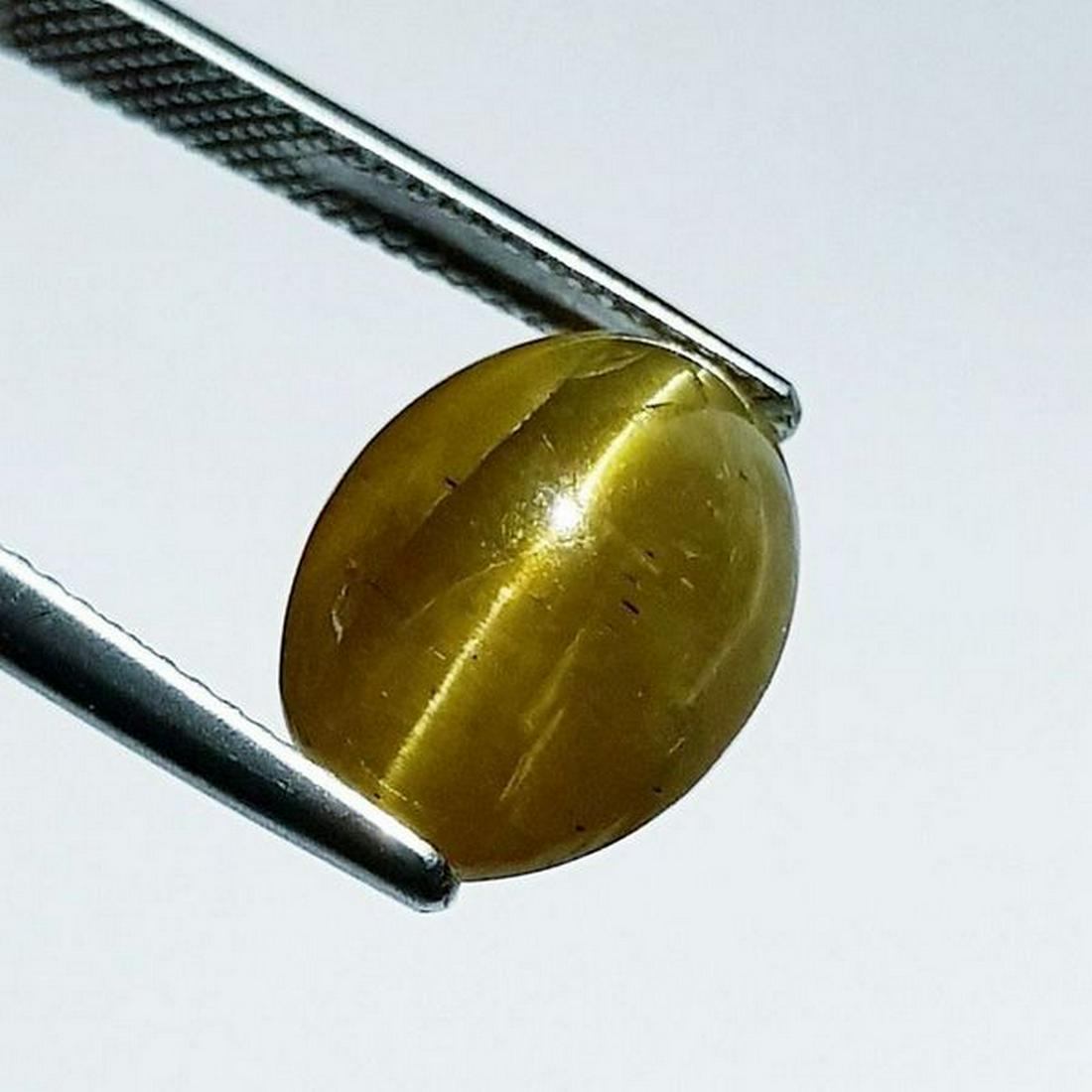 10.96 ct Natural Apatite cat's Eye: No Reserve! Title: 10.96 ct Natural Apatite cat's Eye Color/Clarity: Semi Transparent Gemstones: Loosegemstone Carat Weights: 10.96 Size/Dimensions: 13.90 x 10.60 x 9.00 Additional Information: Oval -