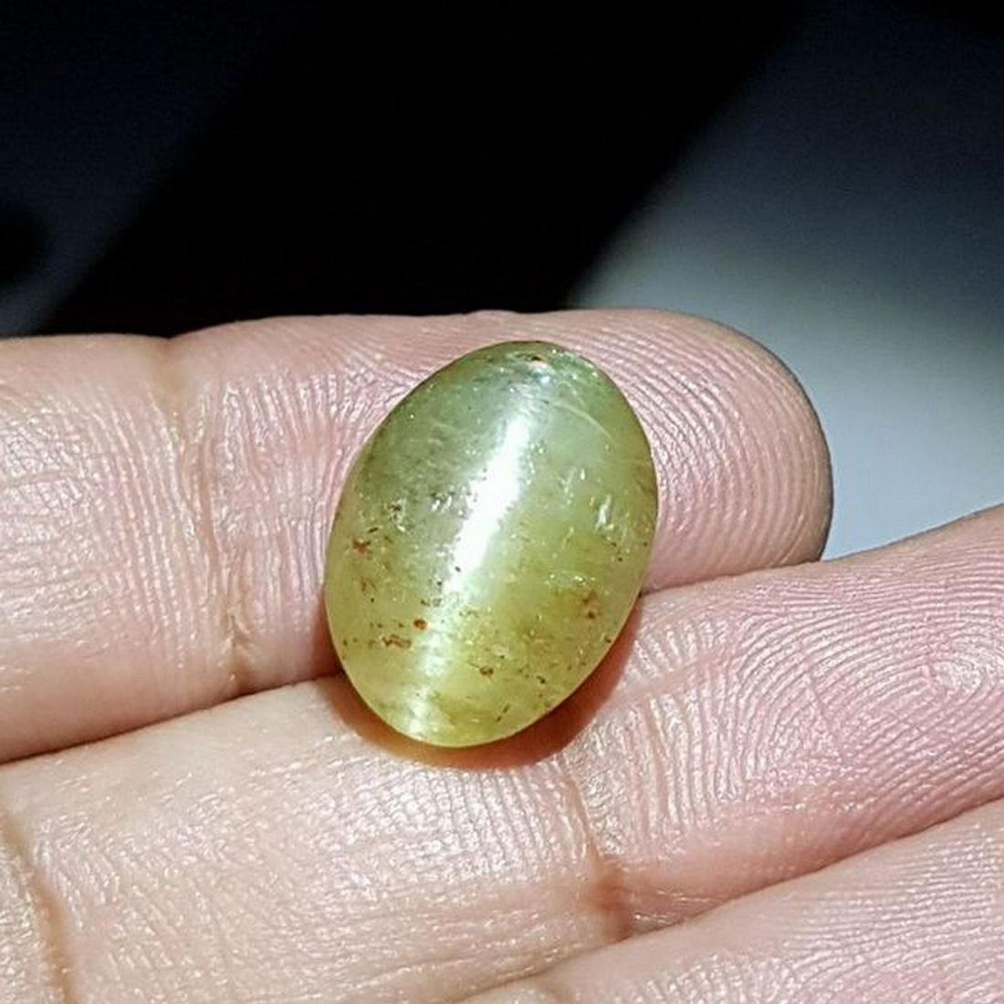 14.13 ct Natural Apatite cat's Eye: No Reserve! Title: 14.13 ct Natural Apatite cat's Eye Color/Clarity: Semi Transparent Gemstones: Loosegemstone Carat Weights: 14.13 Size/Dimensions: 15.50 x 11.80 x 9.40 Additional Information: Oval -