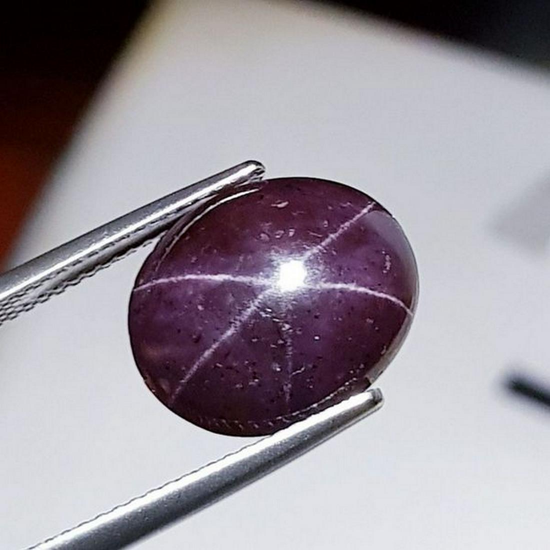 Natural Four Ray Star Garnet 13.60 ct (1 of 6)