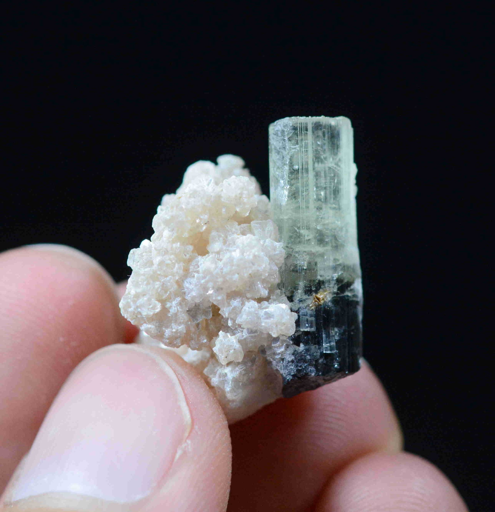 4 Gram Beautiful Tourmaline Specimen: No Reserve! Title: 4 Gram Beautiful Tourmaline Specimen Weight: 4 Gram Size/Dimensions: 22x17x15 mm Origin: Pakistan Shipping: Domestic: Flat-rate of $15.00 to anywhere within the contiguous U.S. Inte