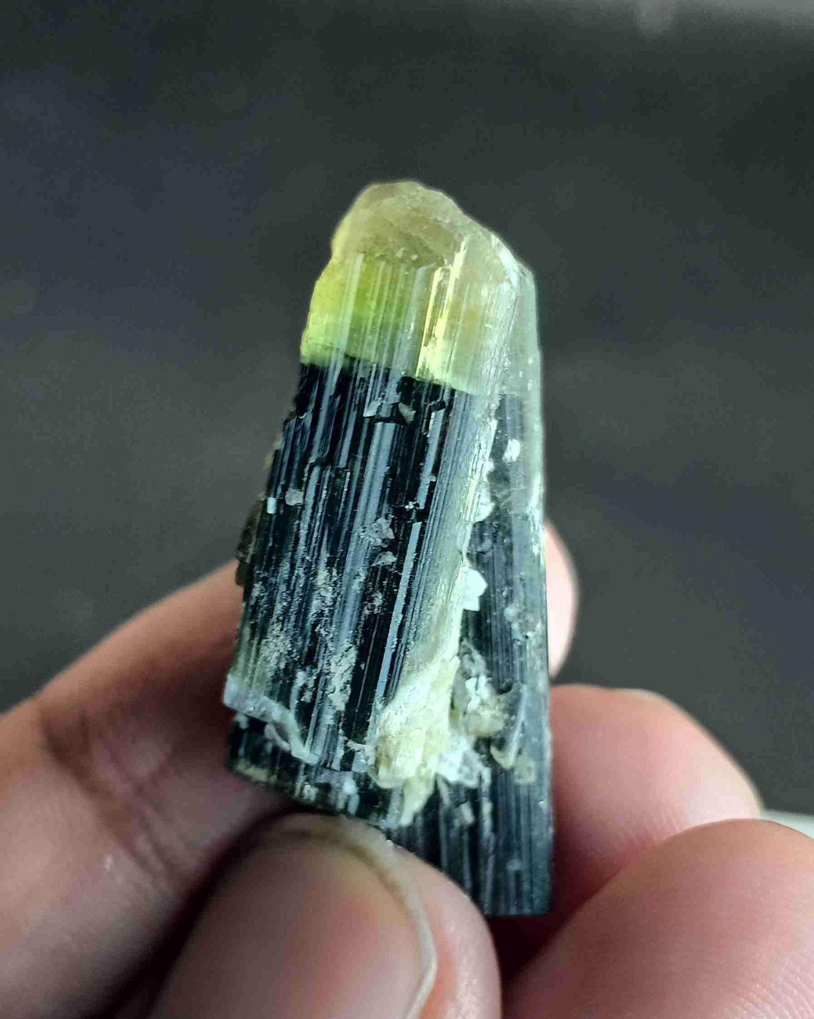 9 Gram Green Cap Tourmaline Crystal: Title: 9 Gram Green Cap Tourmaline Crystal Treatment: Natural Weight: 9 Gram Size/Dimensions: 31x17x8 mm Origin: Pakistan Reserve: $15.00 Shipping: Domestic: Flat-rate of $15.00 to anywhere within the