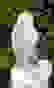 item-89136944=2