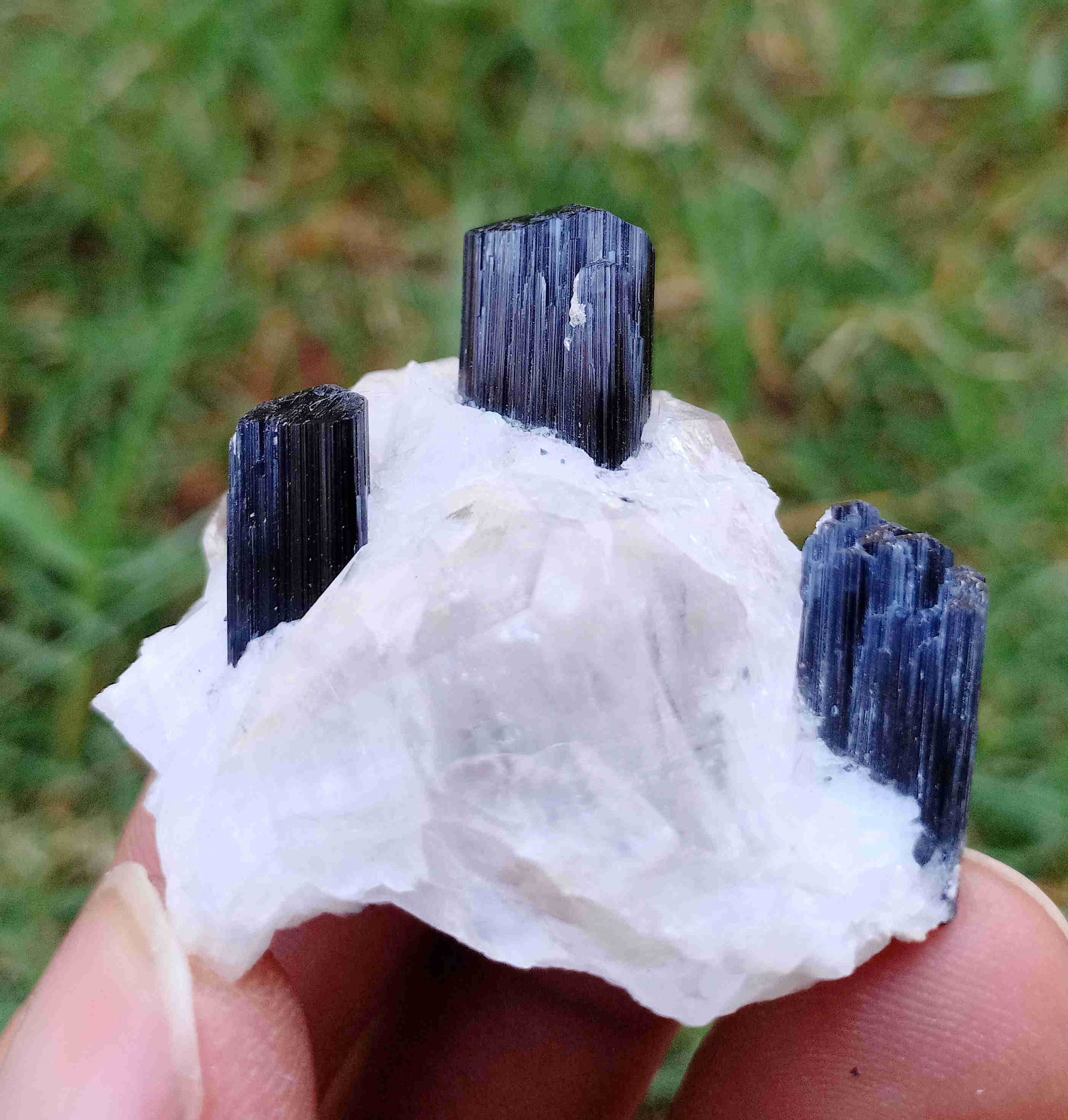 23 Gram Beautiful Tourmaline With Quartz Specimen: Title: 23 Gram Beautiful Tourmaline With Quartz Specimen Treatment: Natural Weight: 23 Gram Size/Dimensions: 39x35x20 mm Origin: Pakistan Reserve: $10.00 Shipping: Domestic: Flat-rate of $15.00 to any