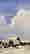 item-89139213=2