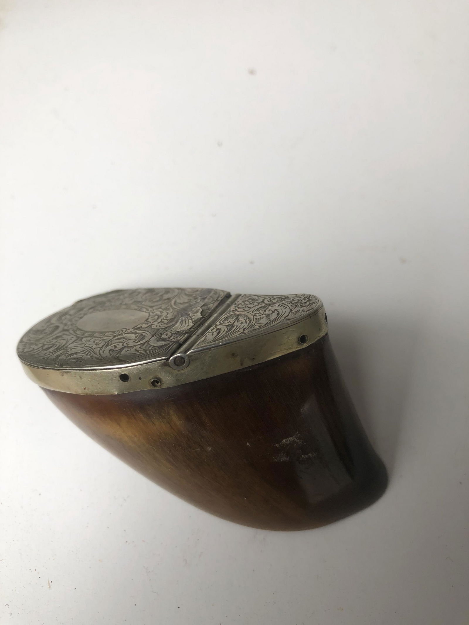 Hoof Snuff Box (1 of 4)