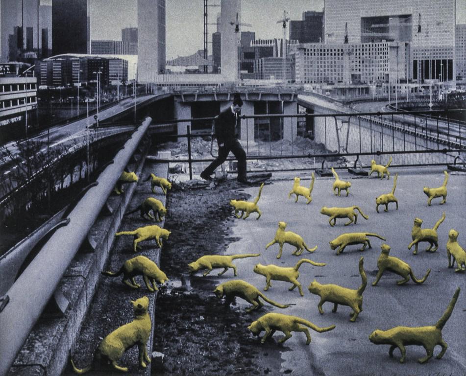 SANDY SKOGLUND - Cats in Paris, 1993 (1 of 1)