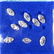CGL Certified 0.69 Ct Natural 9 Diamond VVS (E-F)