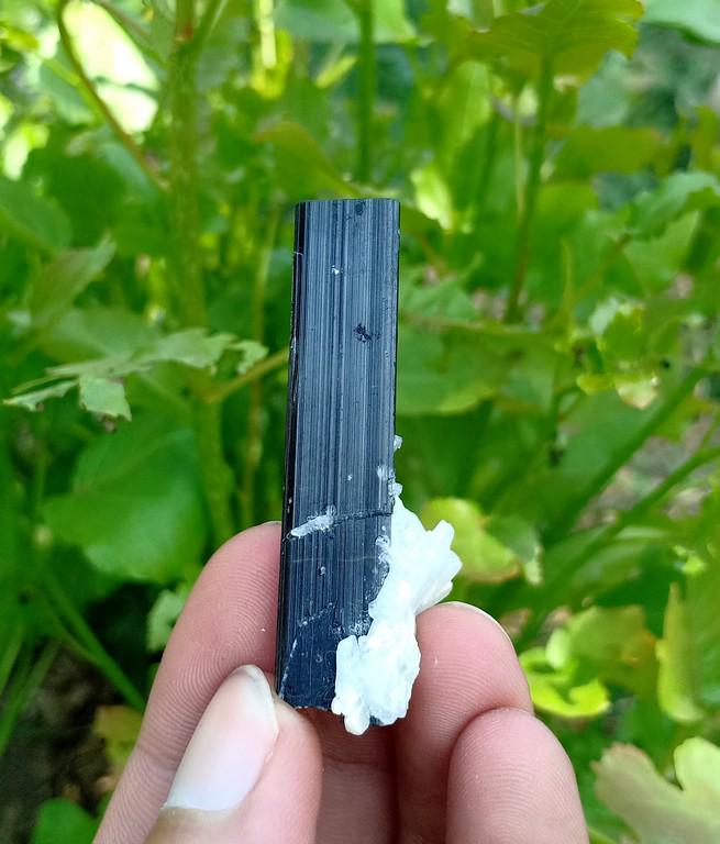 17 Gram Beautiful Natural Tourmaline Crystal: Title: 17 Gram Beautiful Natural Tourmaline Crystal Treatment: Natural Weight: 17 Gram Size/Dimensions: 50x23x14 mm Origin: Pakistan Reserve: $20.00 Shipping: Domestic: Flat-rate of $15.00 to anywher