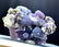 Grape Agate Chalcedony Specimen , Botryoidal Chalcedony - 4