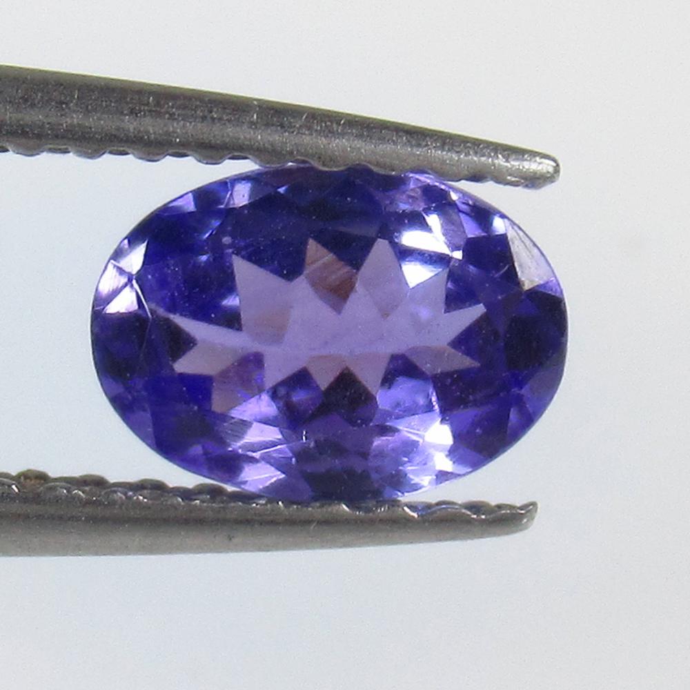 0.71 Ct Natural Tanzanite 7X5 mm Oval Cut: No Reserve! Title: 0.71 Ct Natural Tanzanite 7X5 mm Oval Cut Stone Clarity: VVS Gemstone: Natural Tanzanite Carat Weight: 0.71 Size/Dimensions: 6.80 x 4.90 x 2.90 mm Additional Information: Top Qualit