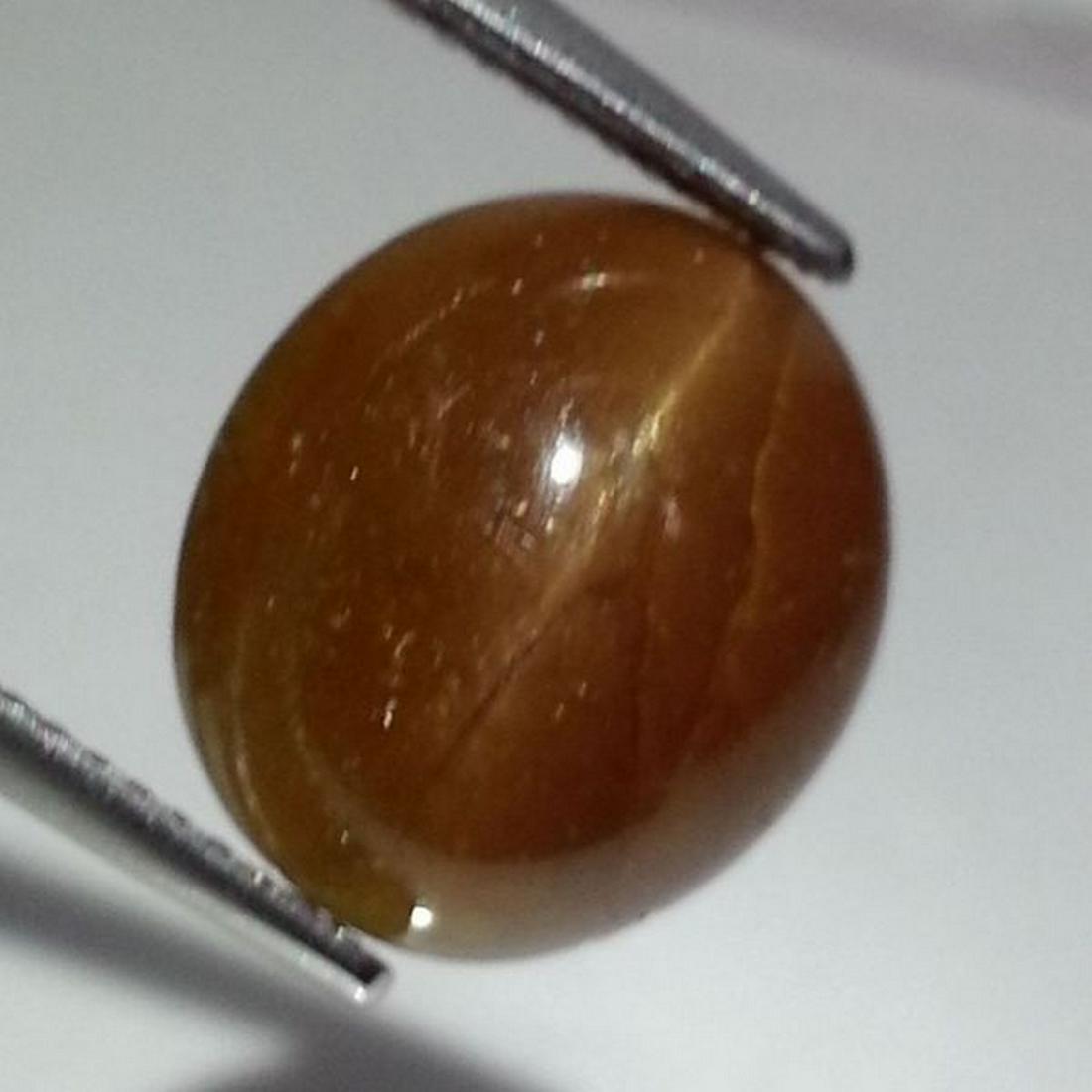 9.59 ct Natural Apatite cat's Eye: No Reserve! Title: 9.59 ct Natural Apatite cat's Eye Color/Clarity: Semi Transparent Carat Weight: 9.59 Size/Dimensions: 13.40 x 11.80 x 7.00 Additional Information: Oval - Africa Shipping: Domestic