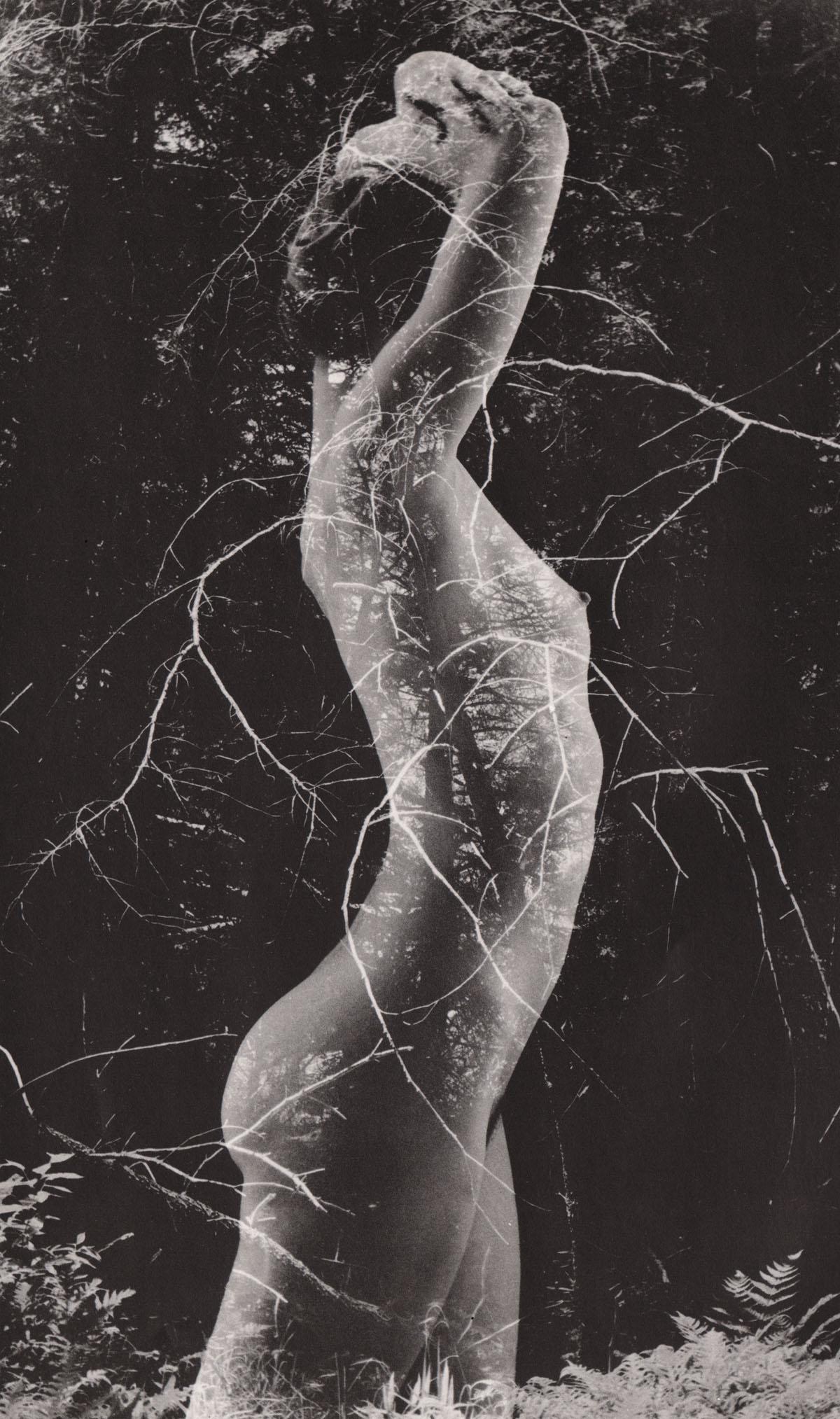 RUTH BERNHARD - Symbiosis, 1968: Artist: RUTH BERNHARD Print Title: Symbiosis, 1968 Medium: Photoengraving Printed in USA in 1970’s Image Size approx: 8.5 x 5” Ruth Bernhard (1905 – 2006), was a legendary San Francisco photogra