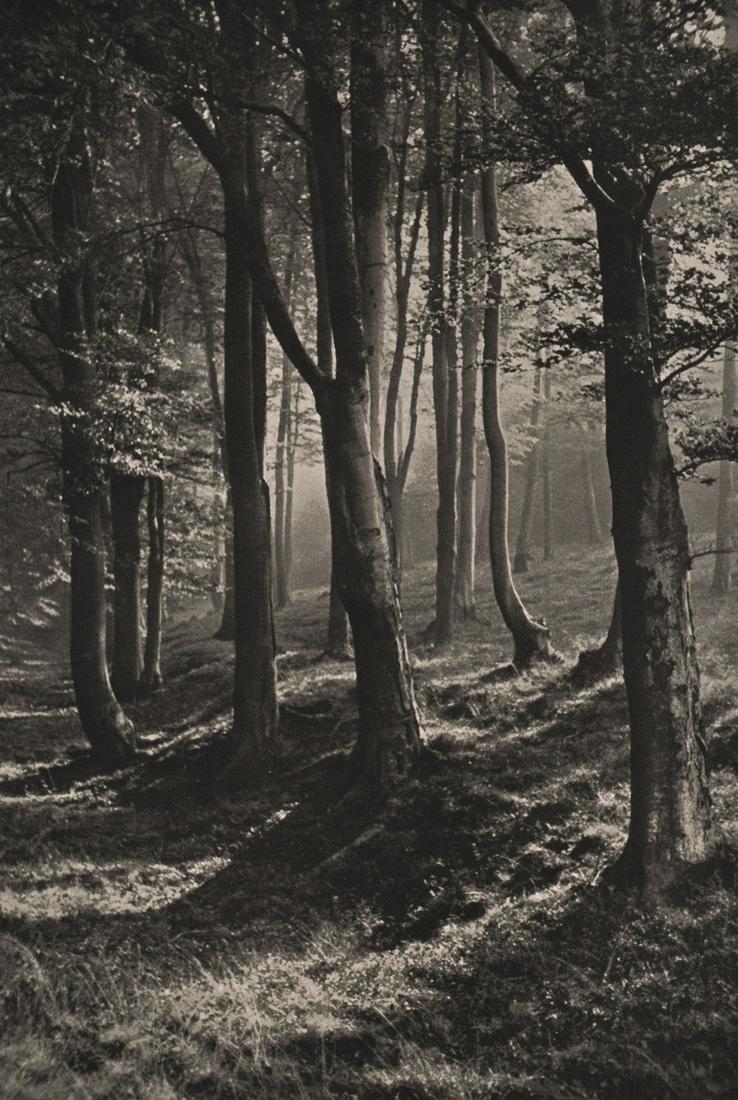 HANS WAGNER - Forest (Buchenwald): Artist: HANS WAGNER Print Title: Forest (Buchenwald) Printing Date: 1930’s Medium: Photoengraving Printed in: Germany Image Size: 9 x 6” Reserve: $25.00 Shipping: Domestic: Flat rate of $15.00 to 