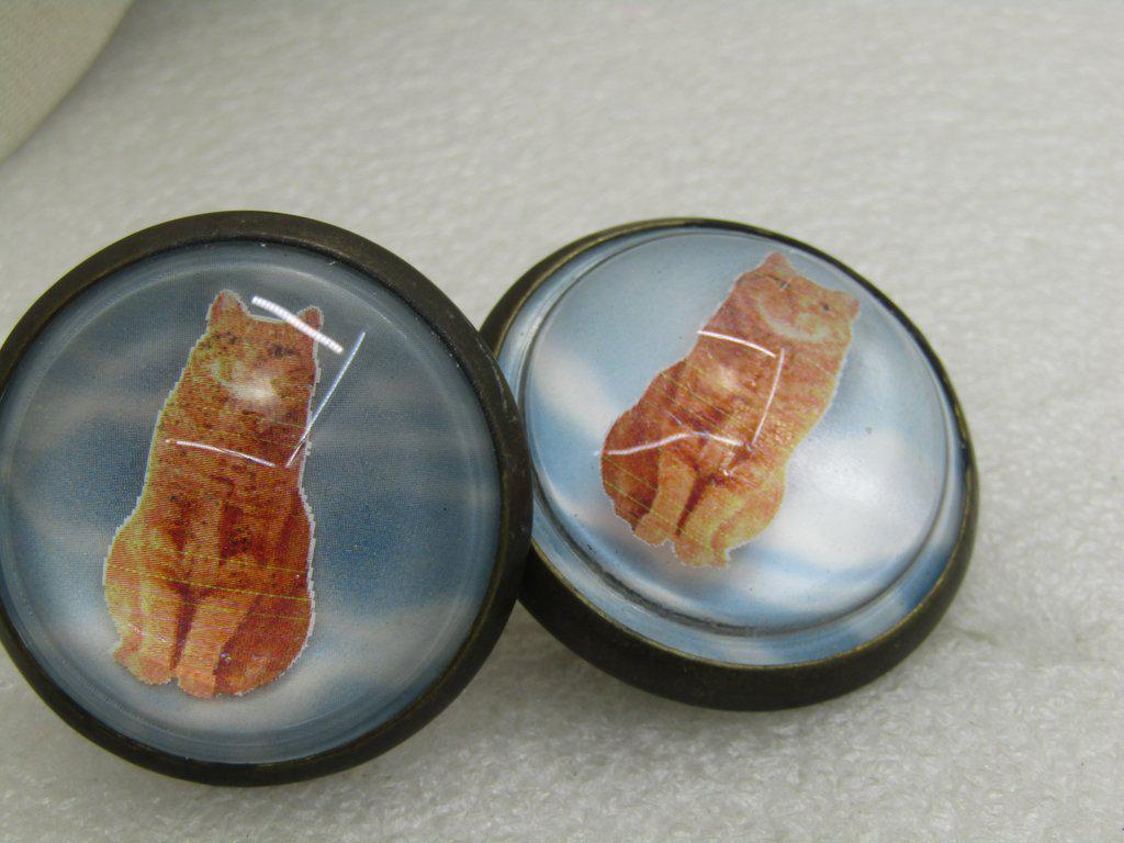 Vintage Pair of Cat Bridal Rosette Buttons, 1.75",: Vintage Pair of Cat Bridal Rosette Buttons, 1.75", Round, Very unusual brital roseetes with a ginger tabby cat over a cloud blue background. Domed. I believe these are a mid-century to 1960's as oppos