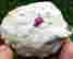 item-89726770=1