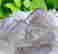 item-89726793=2