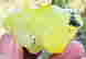 item-89726806=2