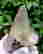 item-89726813=3
