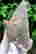 item-89726813=5