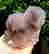 item-89726815=2