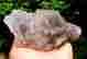 item-89726815=5