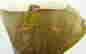 item-89726824=2