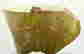 item-89726824=3