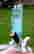 item-89726919=3
