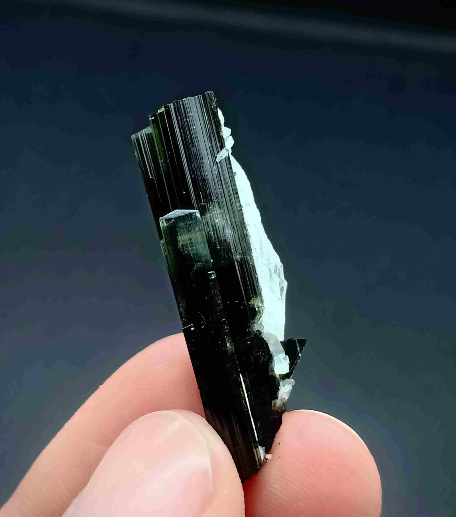 5 Gram Very Beautiful Natural Green Cap Tourmaline: Title: 5 Gram Very Beautiful Natural Green Cap Tourmaline With Albite Specimen Treatment: Natural Weight: 5 Gram Size/Dimensions: 35x13x6 mm Origin: Pakistan Reserve: $10.00 Shipping: Domestic: Flat-r