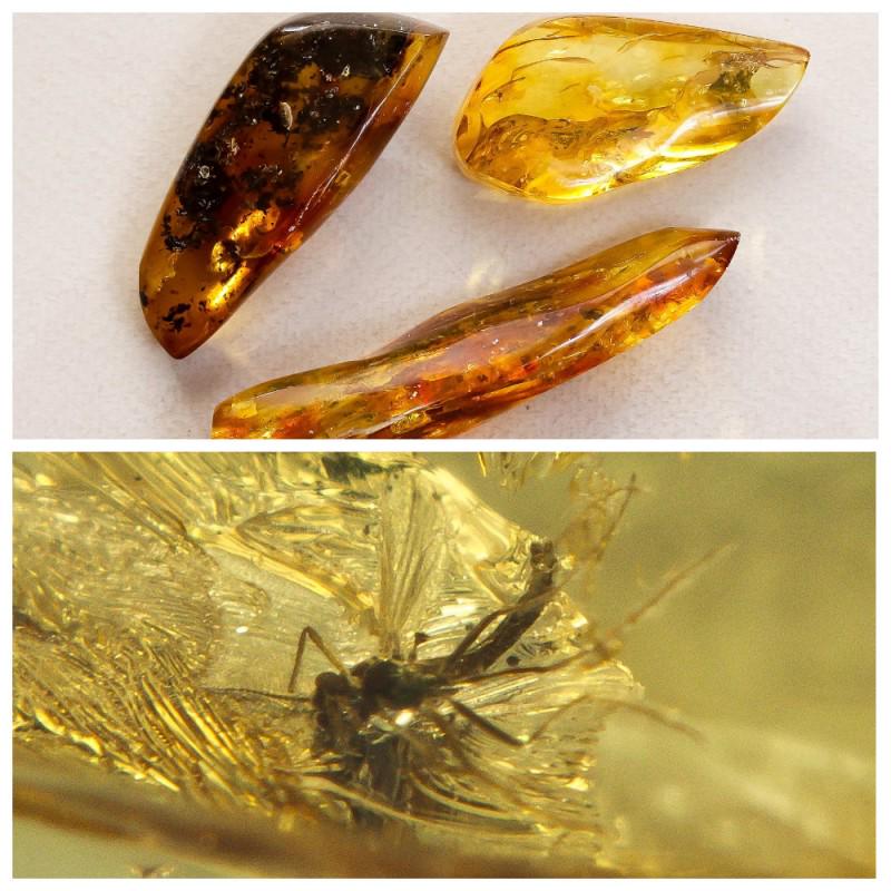 44 g. Inclusions in natural Baltic amber, 3 Gemstones: Collection of 3 natural Baltic amber gemstones. Each stone with inclusion. Some stones have several inclusions. In one of the stones a beetle. Good for collection or jewelry. Weight: 44 gram Size: 54-
