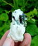 32 Gram Very Amazing And Well Terminated Natural - 3