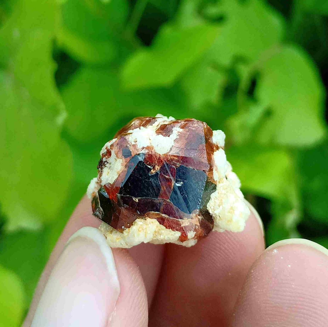 15 Gram Very Beautiful Natural Garnet Specimen: Title: 15 Gram Very Beautiful Natural Garnet Specimen Treatment: Natural Weight: 15 Gram Size/Dimensions: 20x19x15 mm Origin: Pakistan Reserve: $10.00 Shipping: Domestic: Flat-rate of $15.00 to anywhe