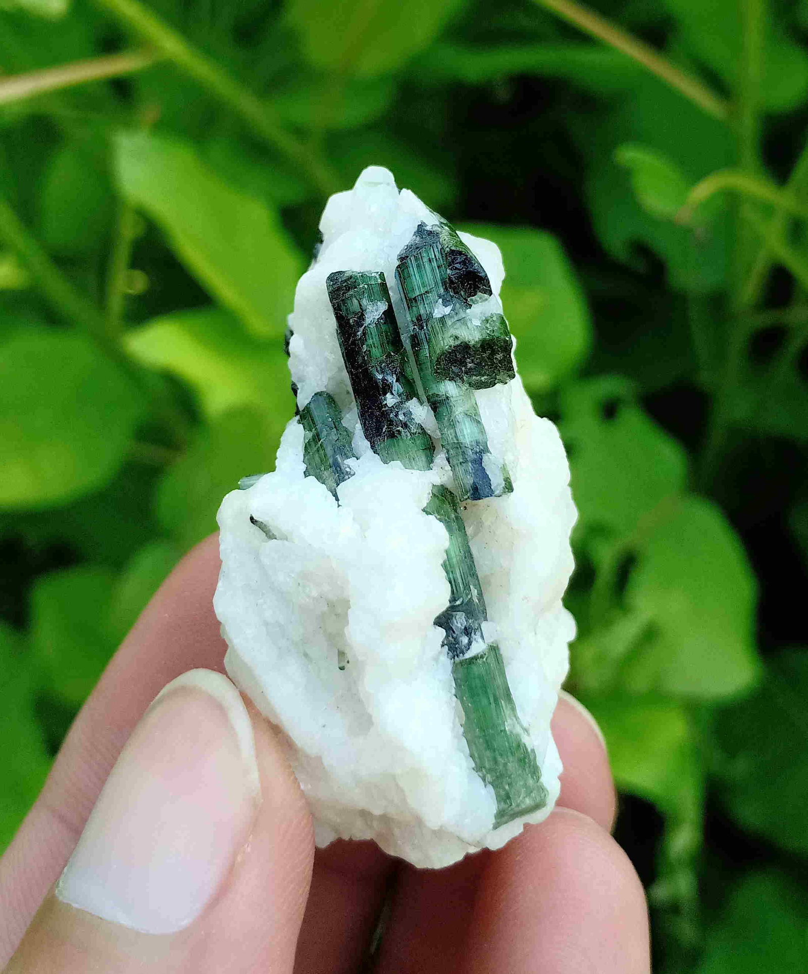 23 Gram Beautiful And Well Terminated Natural: Title: 23 Gram Beautiful And Well Terminated Natural Epidote Specimen Treatment: Natural Weight: 23 Gram Size/Dimensions: 51x35x21 mm Origin: Pakistan Reserve: $10.00 Shipping: Domestic: Flat-rate of