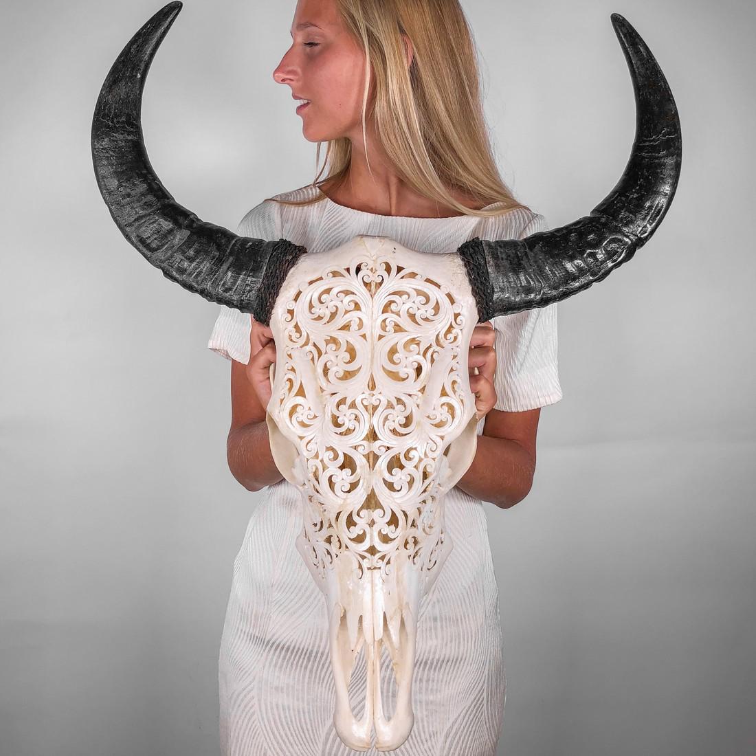Authentic Hand-carved White Buffalo skull - Balinese: Title: Authentic Hand-carved White Buffalo skull - Balinese Floral motif Maker: Unknown Origin: Indonesia Date/Period: 2019 Marterials: Bone Size/Dimensions: H: 68cm / 26.7 inches W: 55cm / 21.6 inche