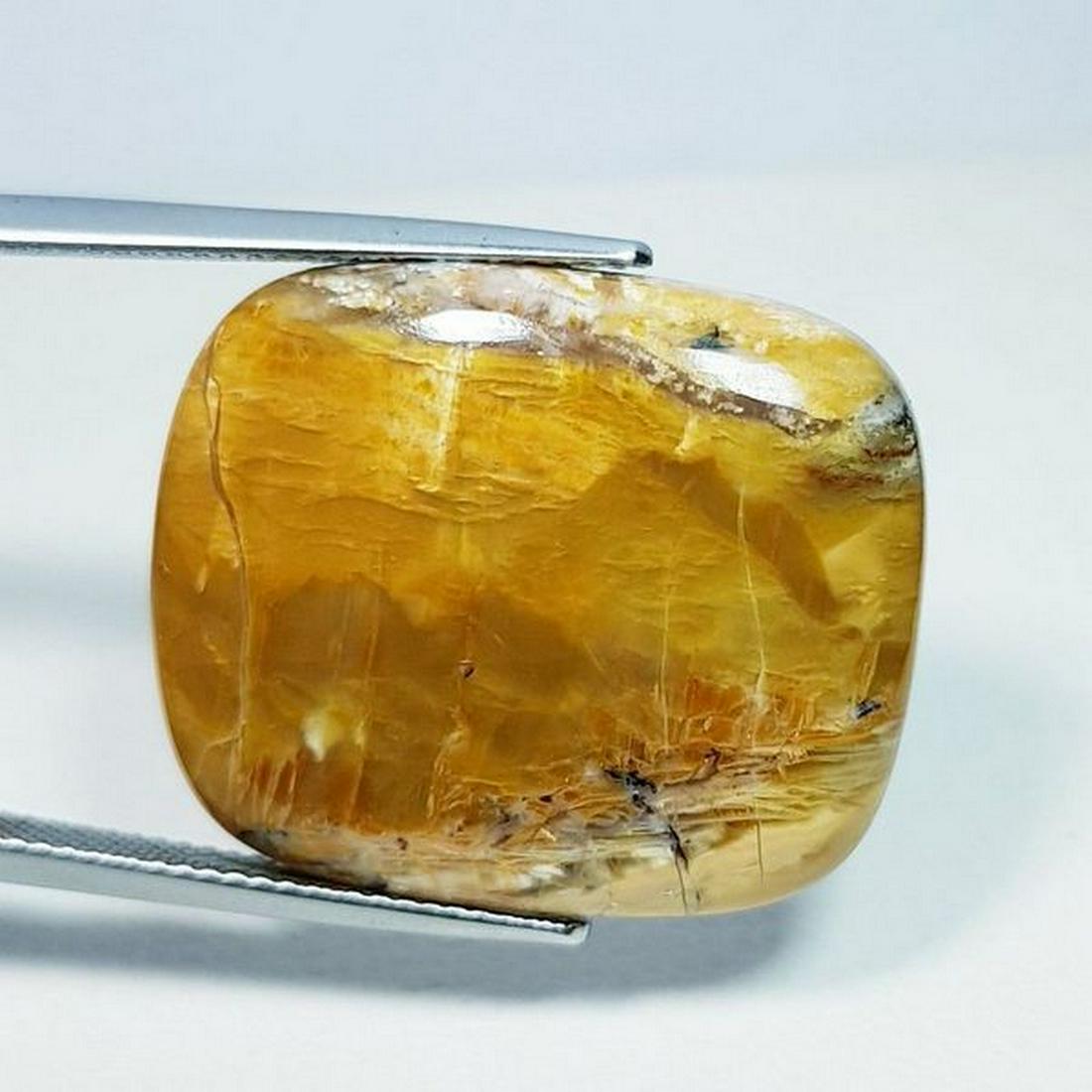 24.25 ct Natural China Jasper (1 of 4)