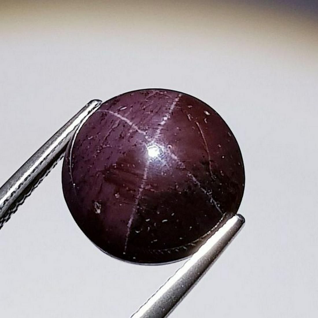Natural Four Ray Star Garnet 20.94 ct (1 of 5)