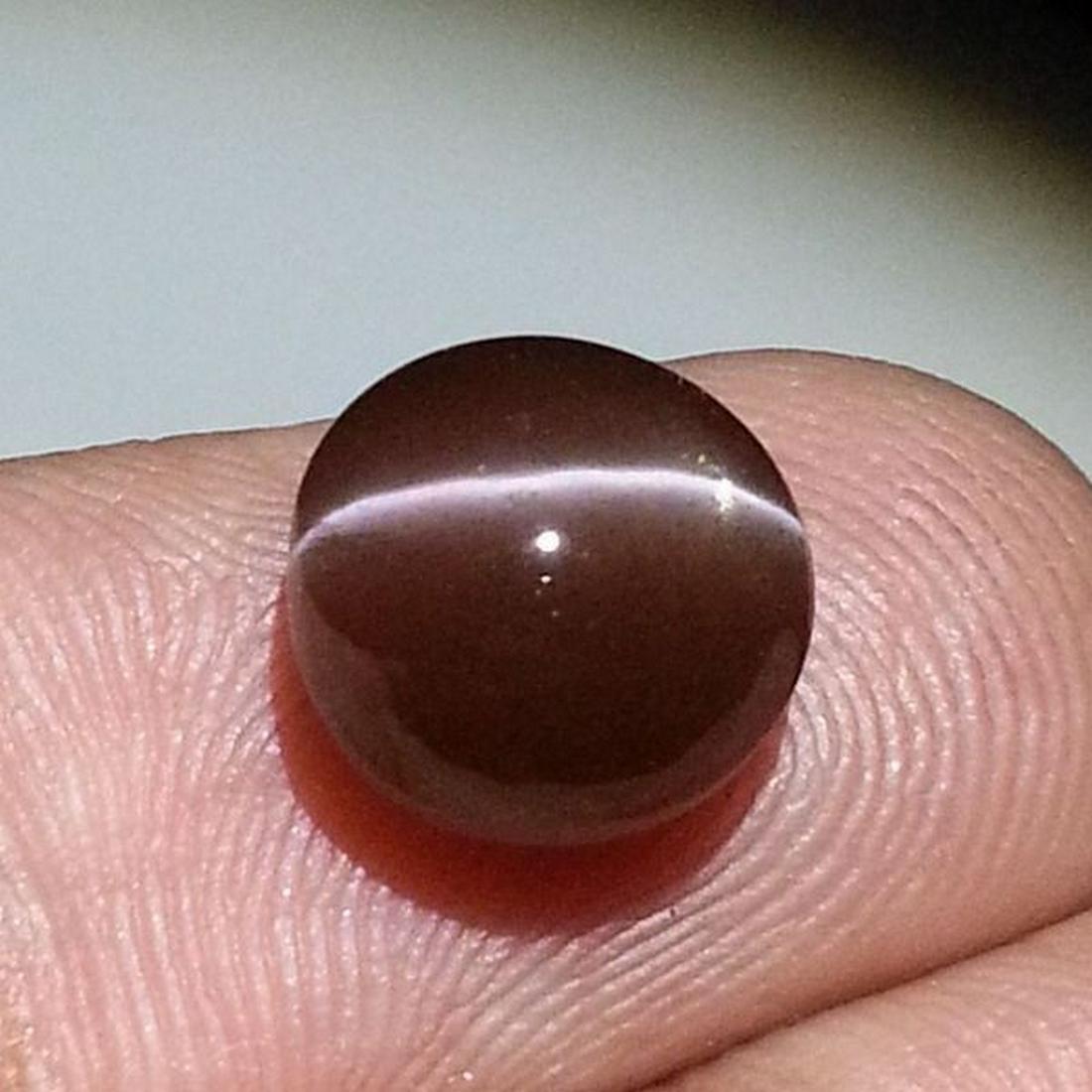 4.37 ct Natural Scapolite Cat' Eye: No Reserve! Title: 4.37 ct Natural Scapolite Cat' Eye Color/Clarity: Opaque Gemstones: Loosegemstone Carat Weights: 4.37 Size/Dimensions: 9.50 x 9.50 x 6.50 Additional Information: Round - Africa Ship