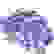 item-89739140=2