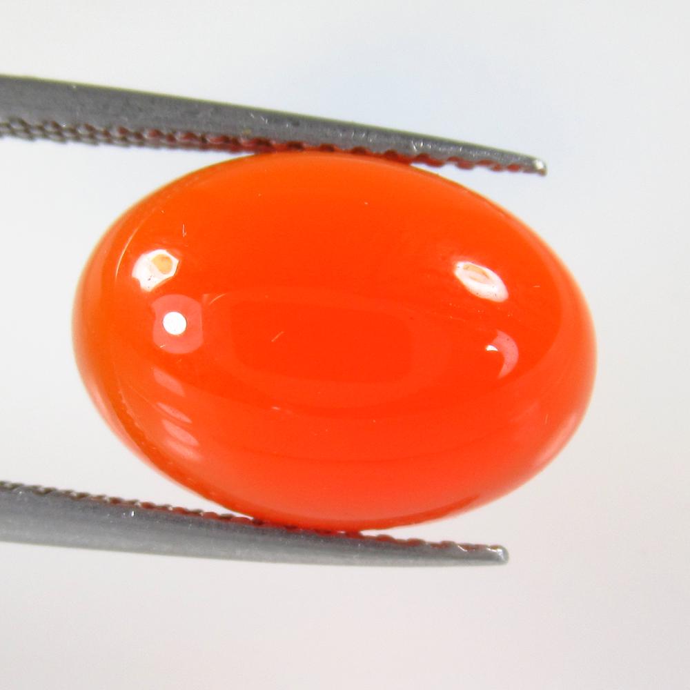 6.23 Ct Natural Orange Carnelian Oval Cab: No Reserve! Title: 6.23 Ct Natural Orange Carnelian Oval Cab Color/Clarity: Semi-Transparent Gemstone: Natural Carnelian Carat Weight: 8.23 Size/Dimensions: 14.00 x 10.50 x 5.80 mm Additional Informat