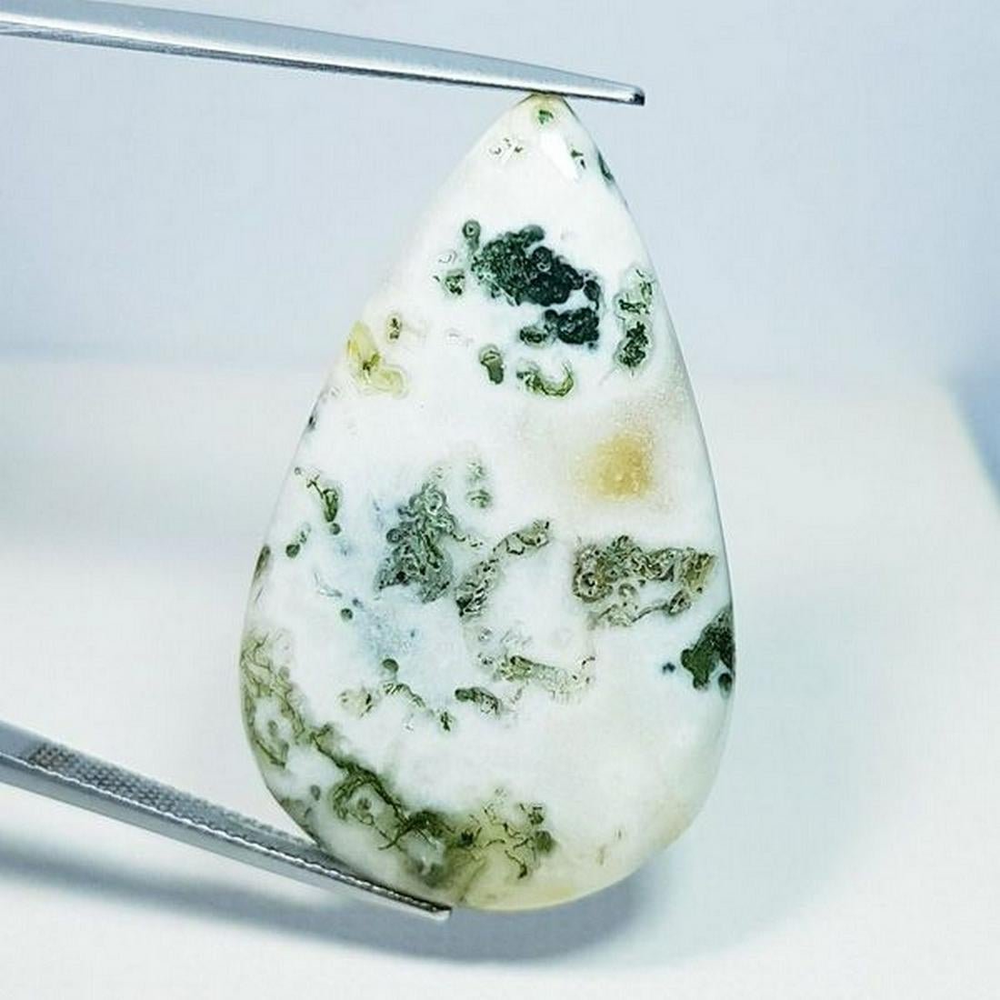 40.35 ct Natural Tree Jasper (1 of 4)