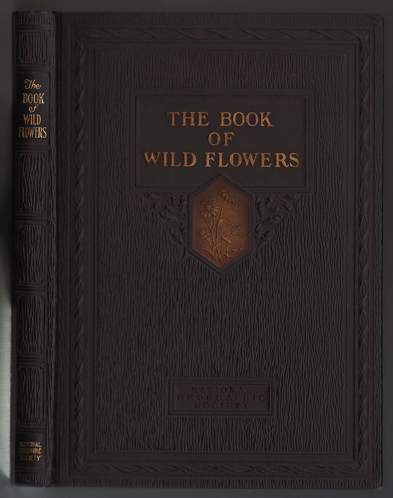 Book of Wild Flowers, scarce 1st printing: Extremely sharp example. Beautiful deep-embossed brown boards with gold inlay and gold foil-stamped cover and spine. Includes 128 full-page colored plates of botanically accurate flower and grasses pa
