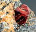 63 Gram Rare Terminated & Undamaged Blood Red Color - 7